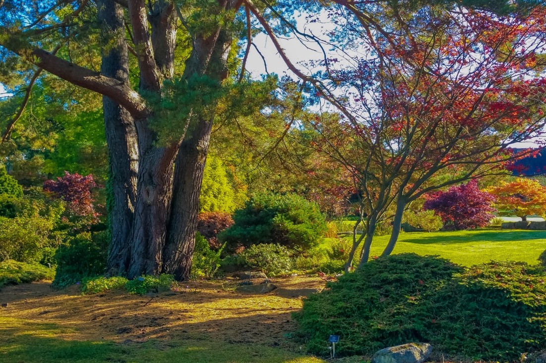 What’s on Your “Putting the Garden to Bed” Checklist?